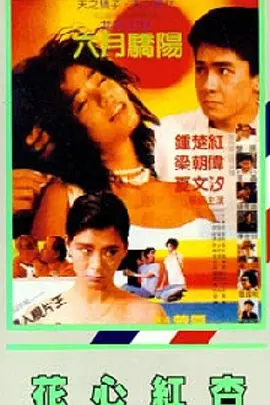 电视剧勇者无惧免费观看全集